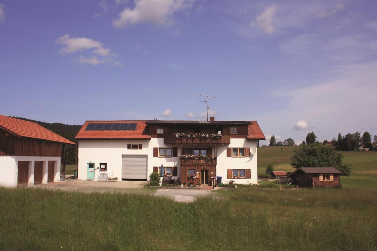 Haus Anny Lägenhet Haidmühle Exteriör bild